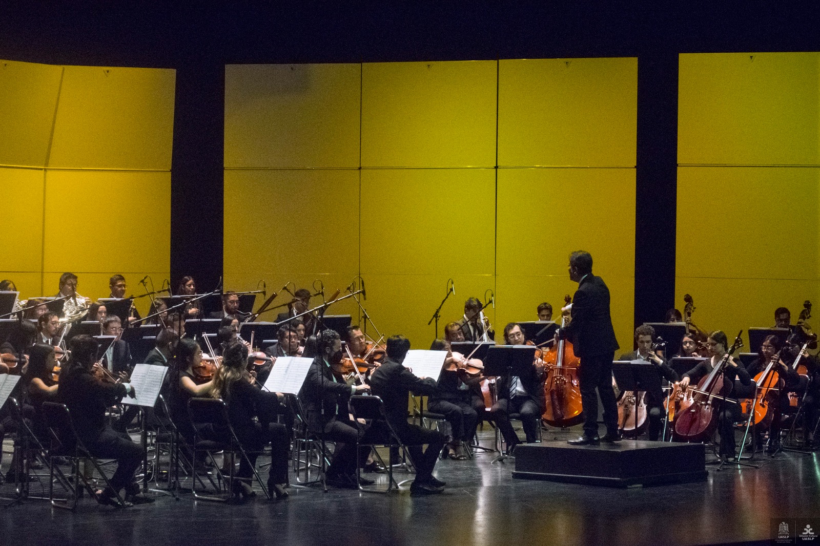 UASLP prepara homenaje al rock latinoamericano con “Soda Stereo Sinfónico”