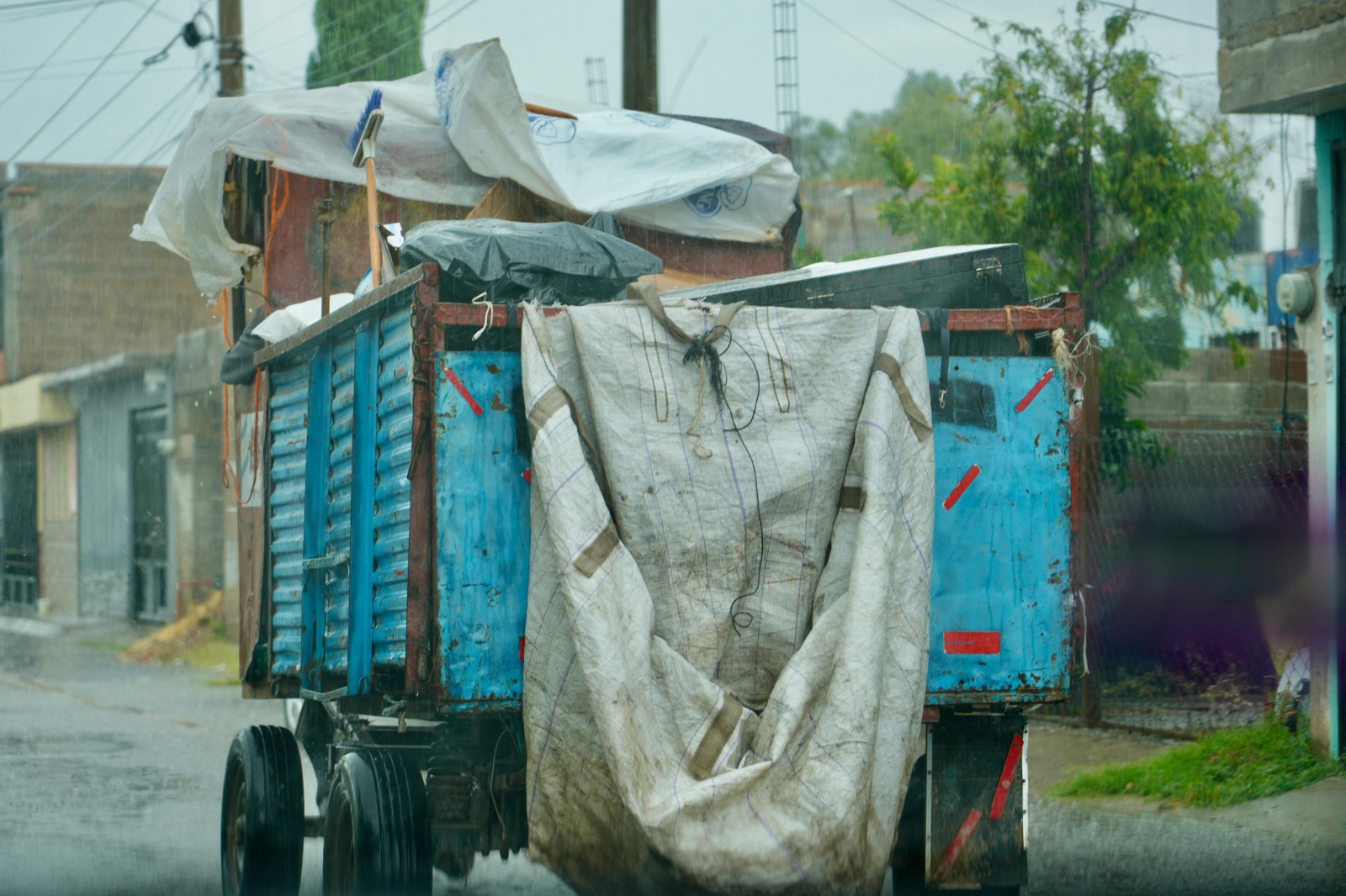 Animales siguen siendo utilizados para recolectar basura