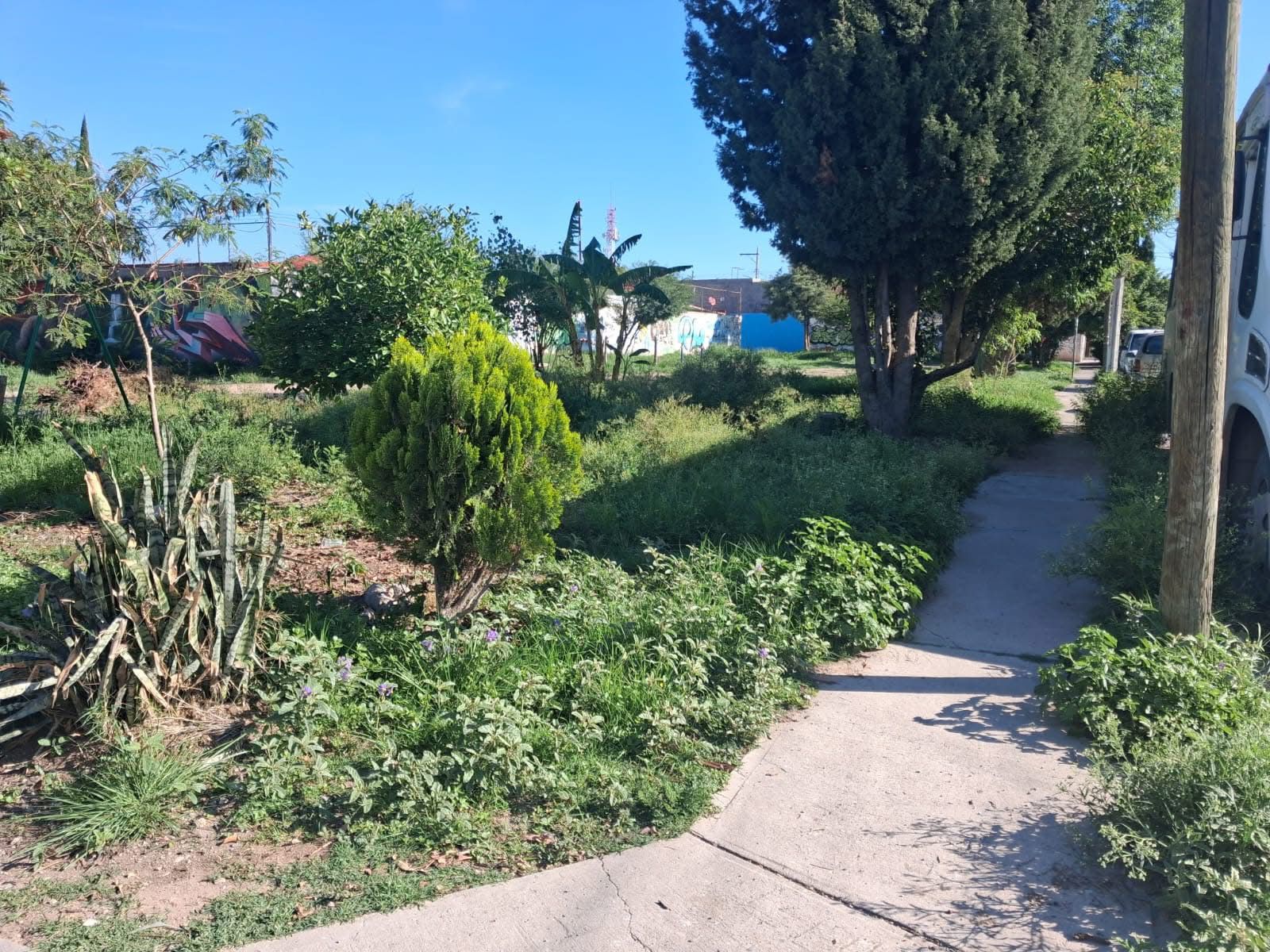 Mejoran imagen urbana en Pozos